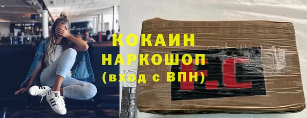 шишки Няндома