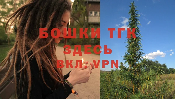 мдма Новозыбков
