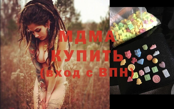 шишки Няндома