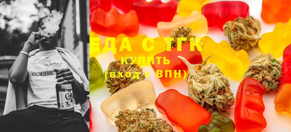 шишки Няндома