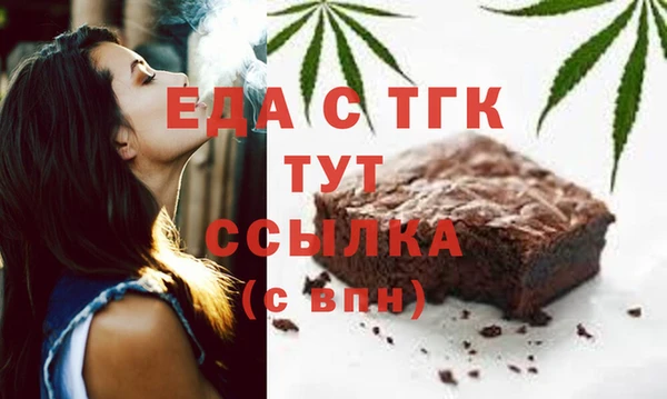 шишки Няндома