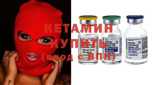 шишки Няндома