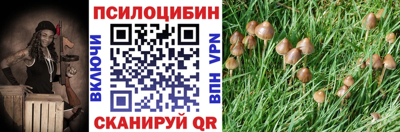 Псилоцибиновые грибы GOLDEN TEACHER  сайты даркнета состав  Белый 
